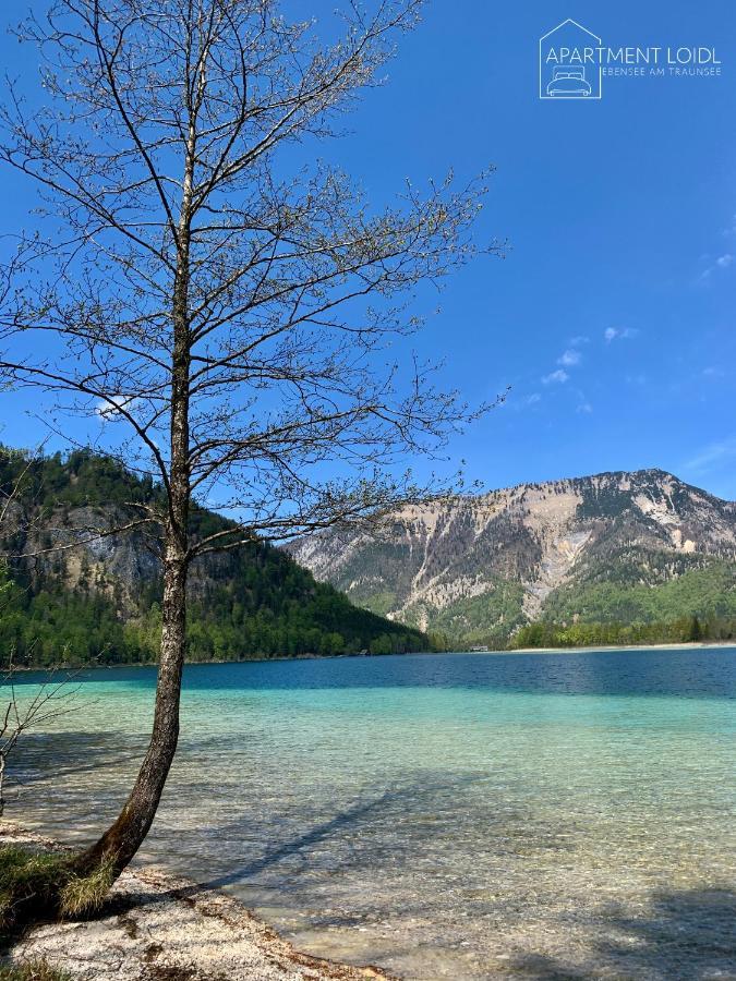 Apartment Loidl Ebensee Exteriör bild